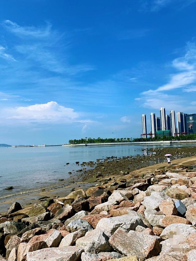 深圳蛇口口岸深圳蛇口口岸接送服务